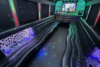 Buffalo Limo Bus Interior