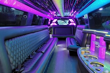 Buffalo Limo Interior